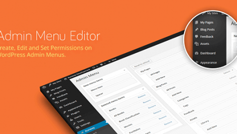 افزونه وردپرس Admin Menu Editor Pro (addons included) نسخه ۲.۱۱