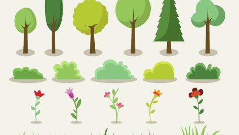 وکتور درخت و گیاهان | tree vector | plants vector