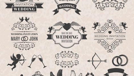 وکتور المان های کارت عروسی | wedding invitation vector