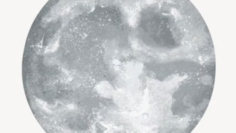 دانلود وکتور ماه moon