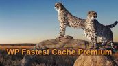 افزونه Wp Fastest Cache Premium