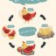 عکس پوستر آموزش چرخه زندگی مرغ